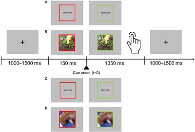 Grasping the semantic of actions: a combined behavioral and MEG study